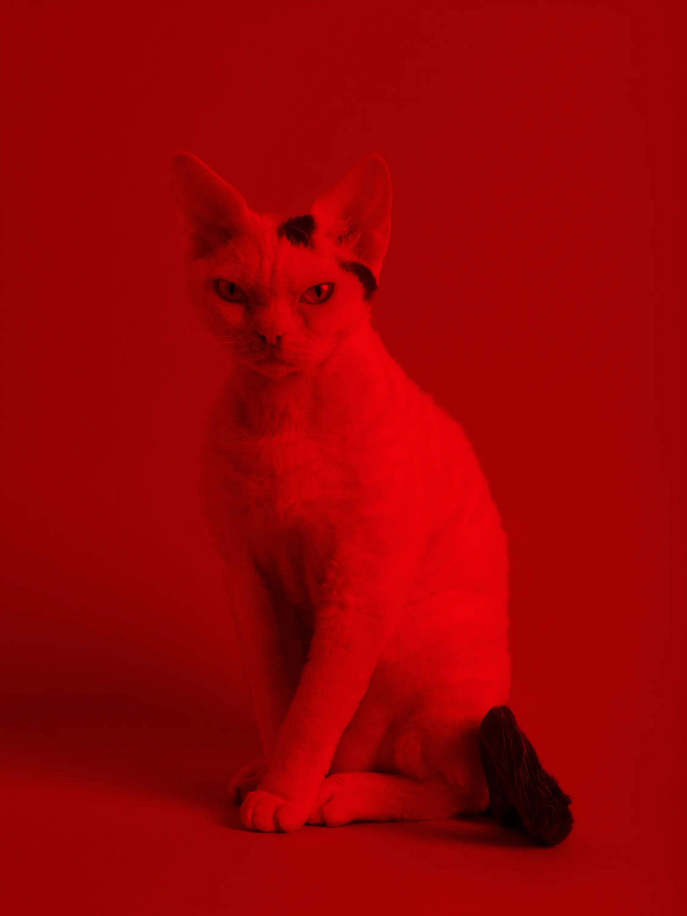 Fotostiftung